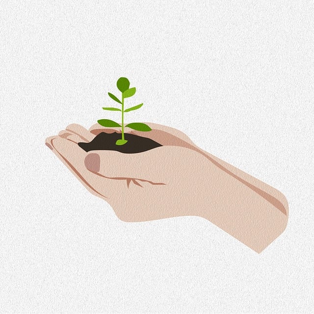 Sázení rostlinky - symbol růstu a vzdělávání